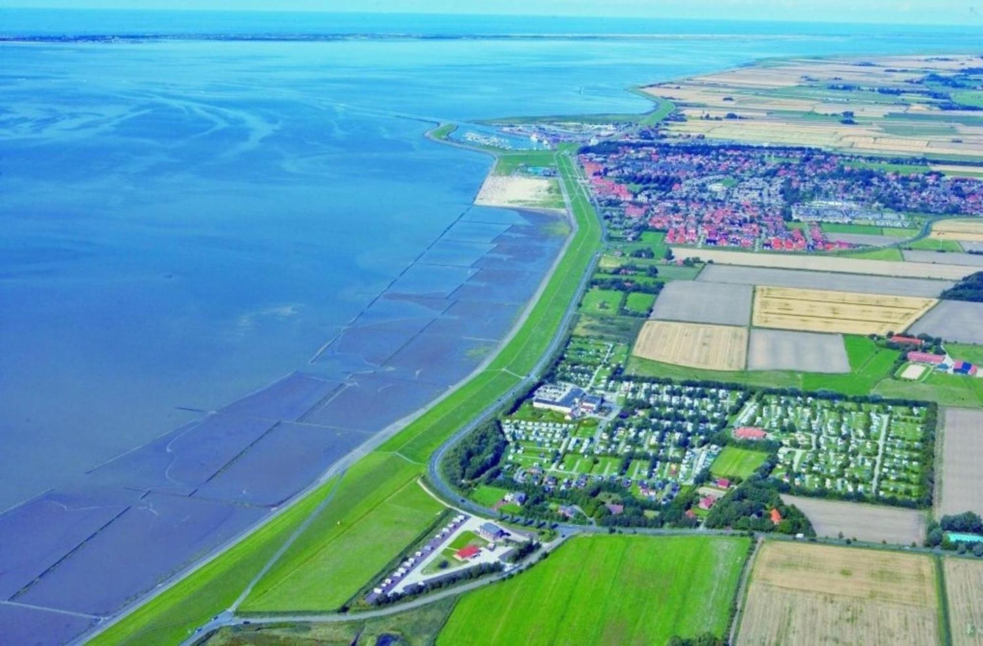 Grosse Nordseewelle Ohne Hund Norden Eksteriør bilde